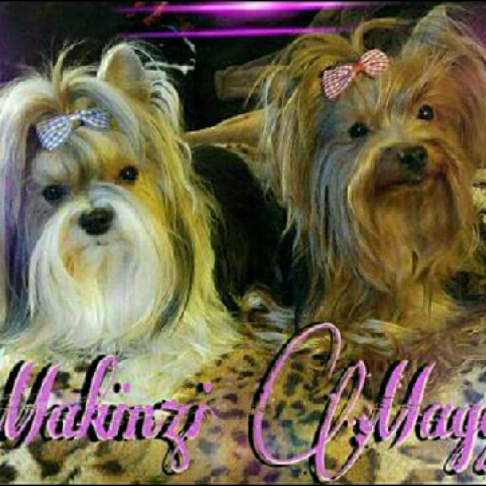 Showing off my girlz !!